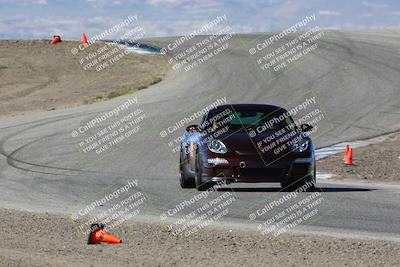 media/Apr-28-2024-Speed SF (Sun) [[c704f5d5b5]]/Blue/Phil Hill/